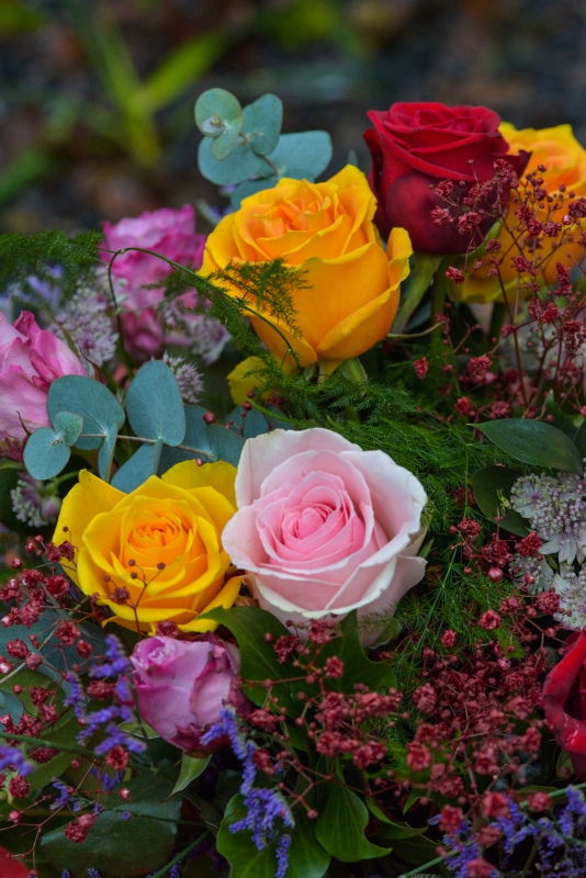 mixed roses flowers from florist in Bromley, Beckenham, Croydon, West Wickham, Shirley, Addiscombe, New Addington, Cony Hall, Keston, Bromley South, New Beckenham, Woodsite, roydon