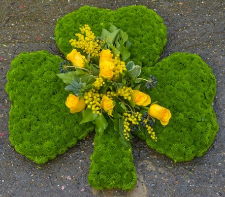 Shamrock Tribute