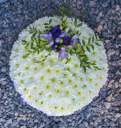 Chrysanthemum Massed Lilac Posy Pad