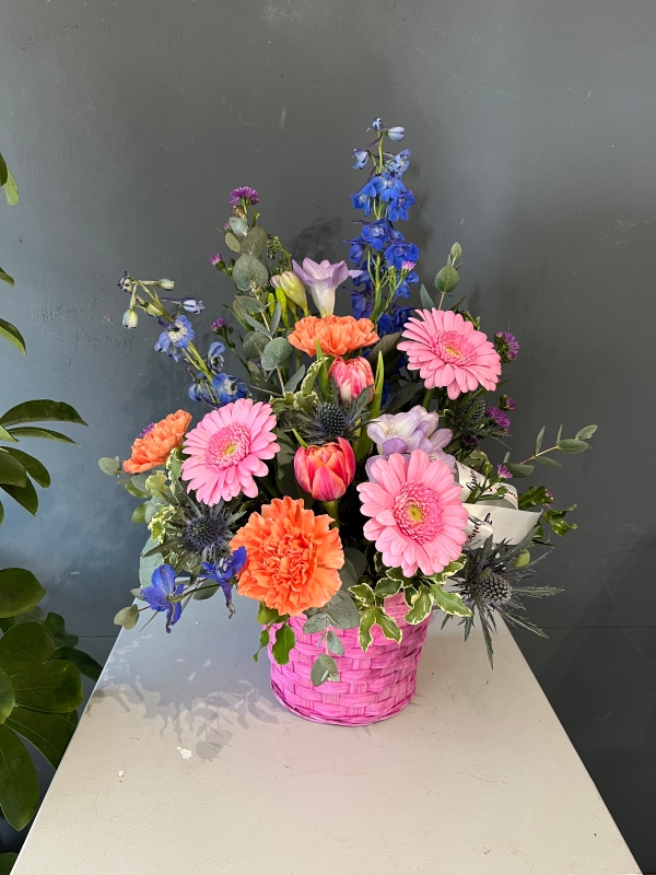 Hot pink wicker basket arranged with finest blooms to include roses, delphiniums, daisies, carnations, scented freesias and double tulips with eucalyptus By florist in Hayes, Bromley, Kent, UK