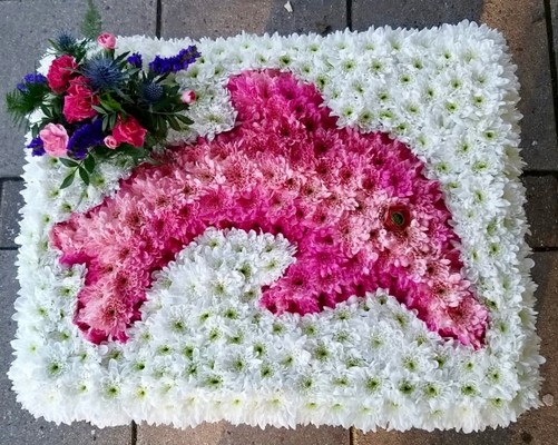 Dolphin Tribute