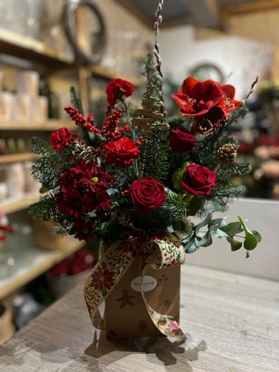 70 cm gift box arrangement to include Amaryllis, Roses, Carnations, Ilex, Pussy Willow, Eucalyptus, Pines, Blue spruce, gold tree ornaments with big hessian bow. Amazing long lasting gift to enjoy. Made by florist in Hayes, Bromley, Kent, UK for same day delivery in all BR and CR postcodes