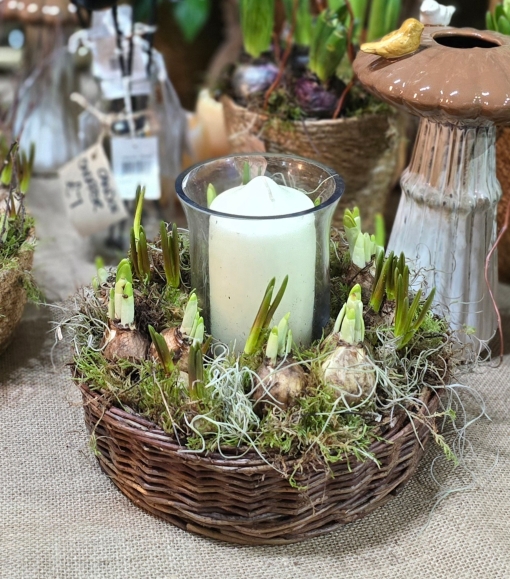 Spring table centerpieces with planted bulbs and a pillar candle in a glass holder