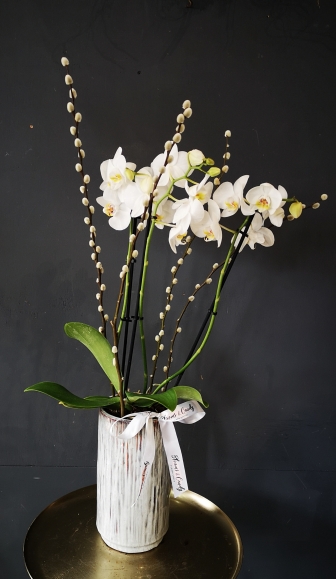 White Orchid in ceramic pot by florist in HAYES, Bromley, West Wickham, Shirley, Selsdon, Gravel Hill, New Addington, Biggin hill, Keston, Beckenham