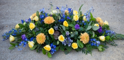 Yellow and Blue Coffin Spray