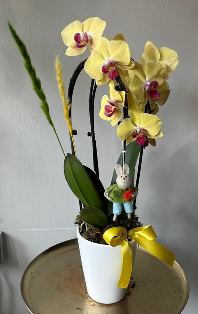 Easter ceramic pot planter with palm, kalanchoe and egg decoration and our new amber collection candle: sweet pea scent. Made by florist in Bromley 