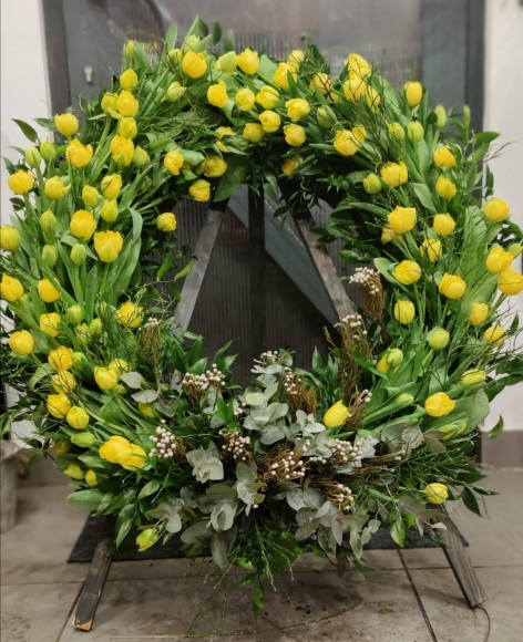 Yellow tulips funeral wreath made by florist