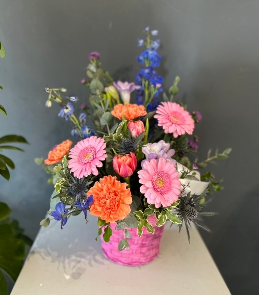 Hot pink wicker basket arranged with finest blooms to include roses, delphiniums, daisies, carnations, scented freesias and double tulips with eucalyptus By florist in Hayes, Bromley, Kent, UK