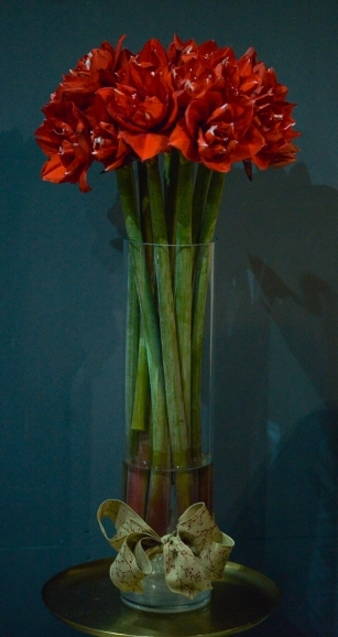 Red Amarylis Ferrari per stem by florist in Bromley 