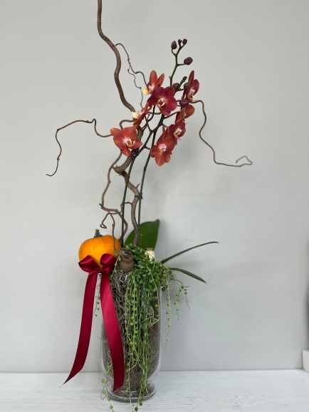 Autumn gift planter by local florist in Hayes, Bromley for same day delivery in BR1 BR2 BR3 BR4 BR5 BR6 BR7 BR8 TN16 SE9