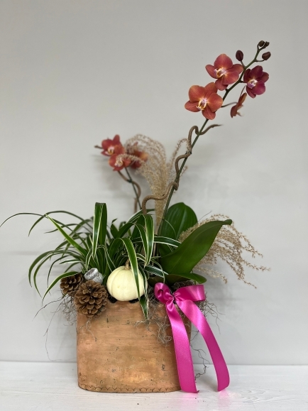Autumn indoor gift planter by florist near me in Bromley for same day delivery in BR Kent UK BR1 BR2 BR3 BR4 BR5 BR6 BR7 BR8 TN16 SE9 