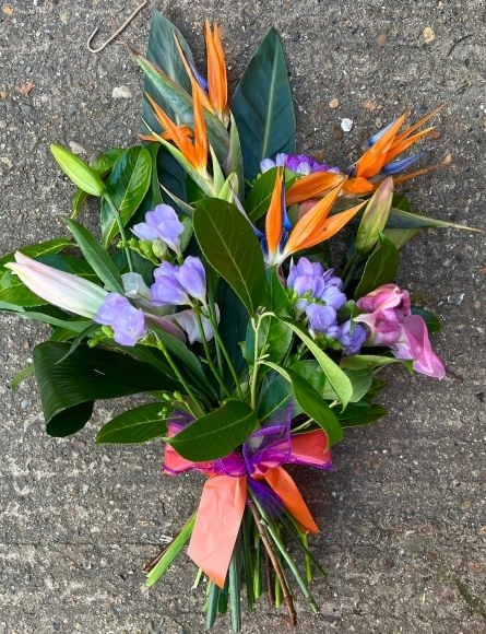 Bird of Paradise Sheaf