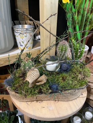 30cm long oval indoor planter made on moss with mini cactus with glass candle holders and decorated with dry elements.  lovely gift for a side table to enjoy for a long time.  planter will be gift wrapped in cellophane and tied with a silk bow and personal message attached. Made by florist in Bromley, Beckenham, Croydon 