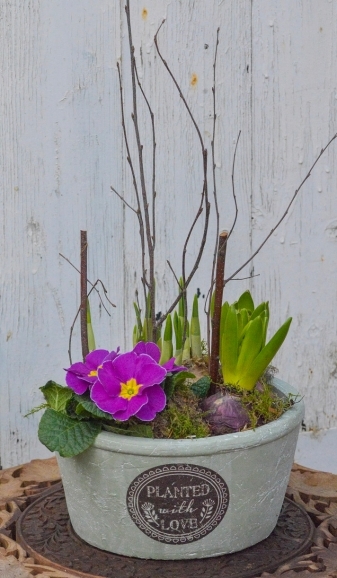 spring planter for local delivery in \hayes, Bromley, Beckenham, West Wickham, Cony Hall, Keston, Shirley, Orpington