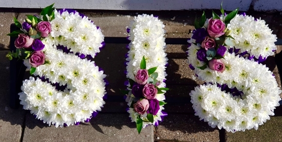 Chrysanthemum SIS letters tribute