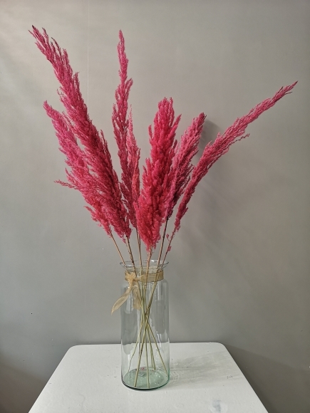 Dry coloured Pampas grass, florist in Bromley, flowers in Hayes, send flowers, same day delivery