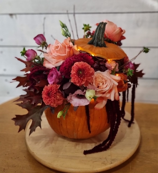 Pumpkin arrangement as a delivery gift made by Blooms and Candy Florist 