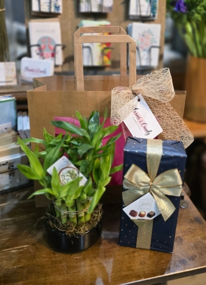 Lucky bamboo planter with Belgian Chocolates gift set