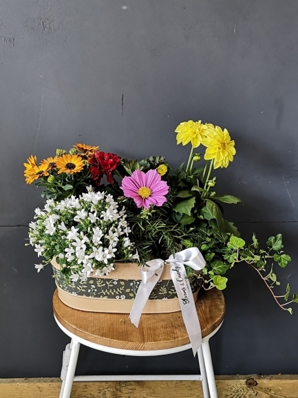 lovely mix seasonal planter by local florist in Hayes, Beckenham, Cony Hall, Shirley, West Wickham, Orpington, Bromley