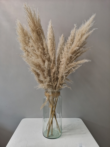 Dry Pampas grass, flowers in Bromley, florist in Bromley, florist in Hayes