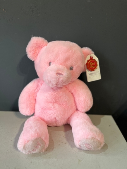 Pink teddy for same day delivery in Bromley