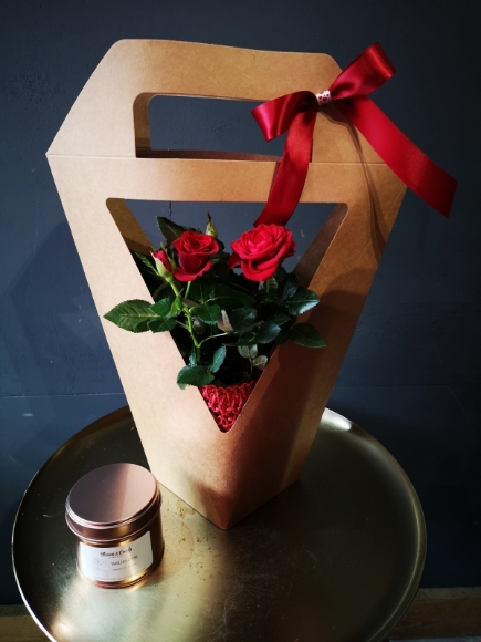 Red roses plant giftwrap with soy wax candle for same day delivery in Bromley, wrapped by florist in Br