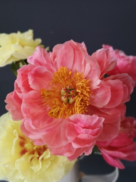 mixed bouquet of flowers to include lovely Peonies made by florist in Croydon for same day delivery in Croydon, Bromley, Beckenham, West Wickham, Shirley, New Addington